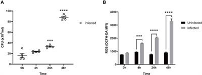 Selection and validation of genes related to oxidative stress production and clearance in macrophages infected with Mycobacterium tuberculosis